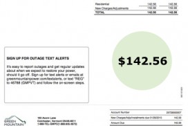Typical Utility Bill showing home energy usage